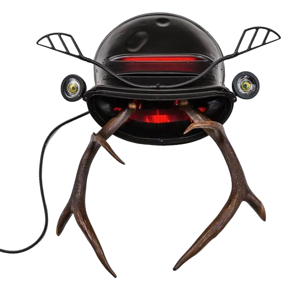Stag Beetle