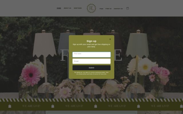 Screenshot of the Flaire Lighting website