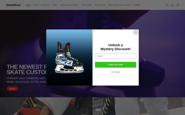 Screenshot of the Skate Skins website